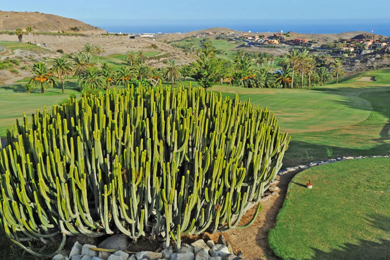 Salobre Las Terrazas 10 Maspalomas  Exterior photo